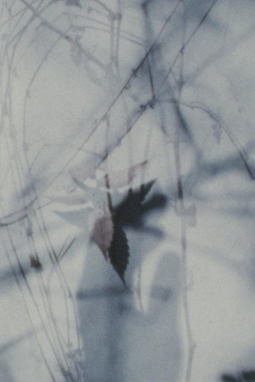 Ruins of Logi 1989 official movie poster