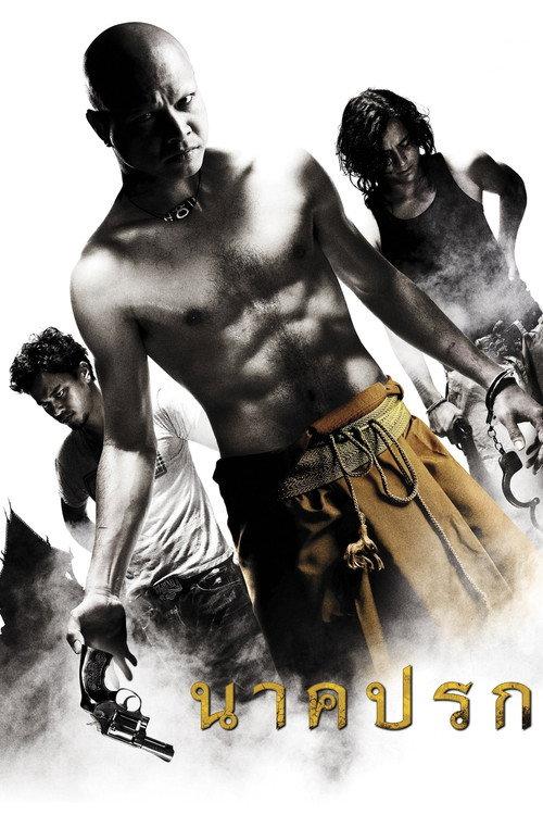In the Shadow of the Naga 2010 official movie poster