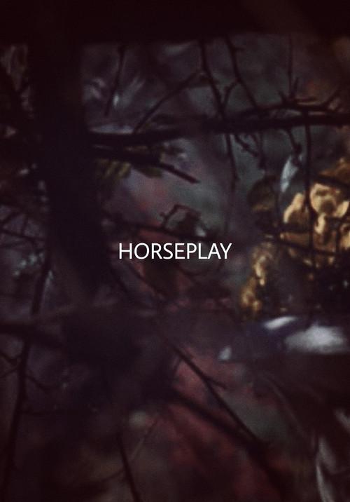 Horseplay 2017 official movie poster