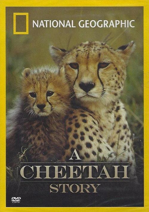 Cheetah Story 1999 official movie poster