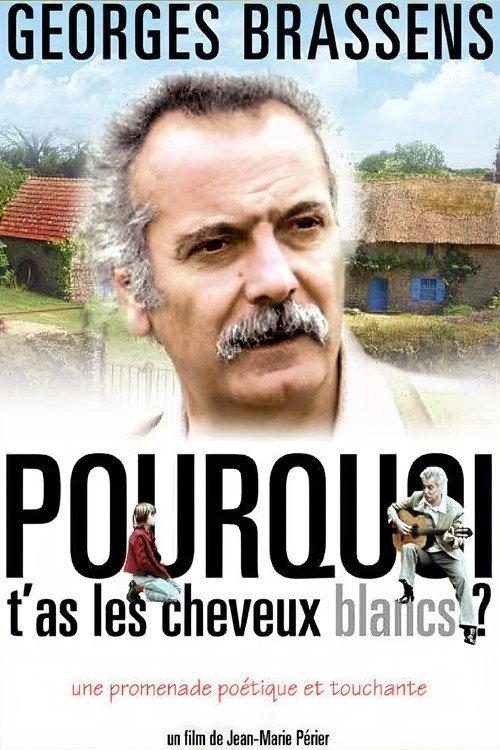 Pourquoi t'as les cheveux blancs... 1973 official movie poster