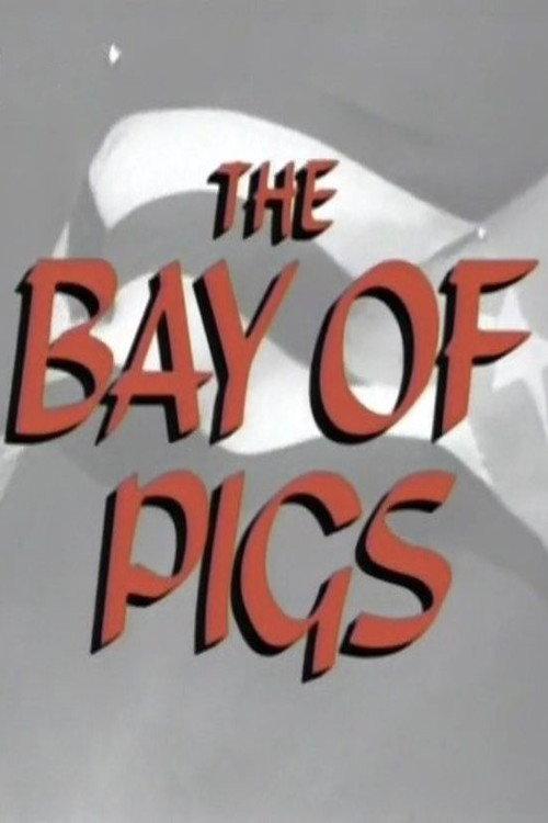 The Bay of Pigs 1997 official movie poster