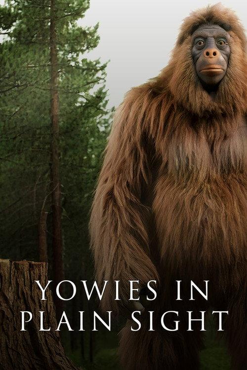 Yowies in Plain Sight official movie poster
