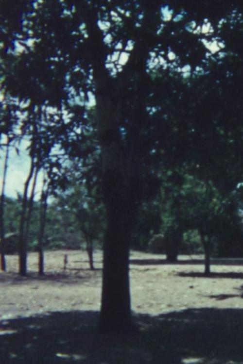 Mussa: A Makonde Village  official movie poster