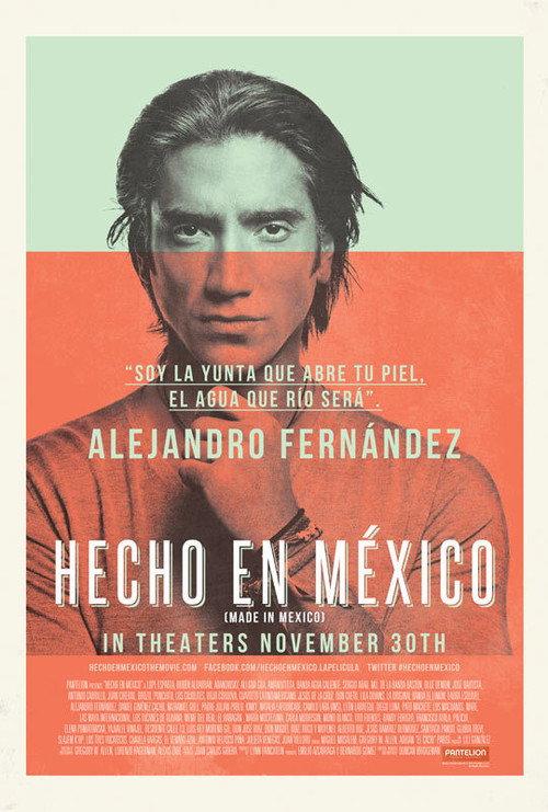 Made in Mexico 2012 official movie poster