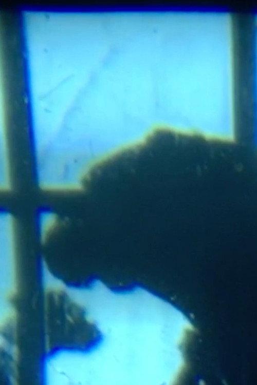 Dog at Window 2017 official movie poster