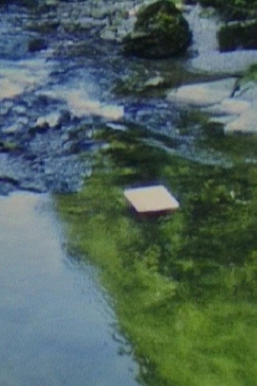 Paper in River 1980 official movie poster