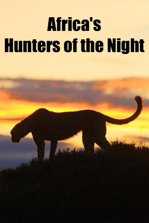 Africa's Hunters of the Night 2022 official movie poster