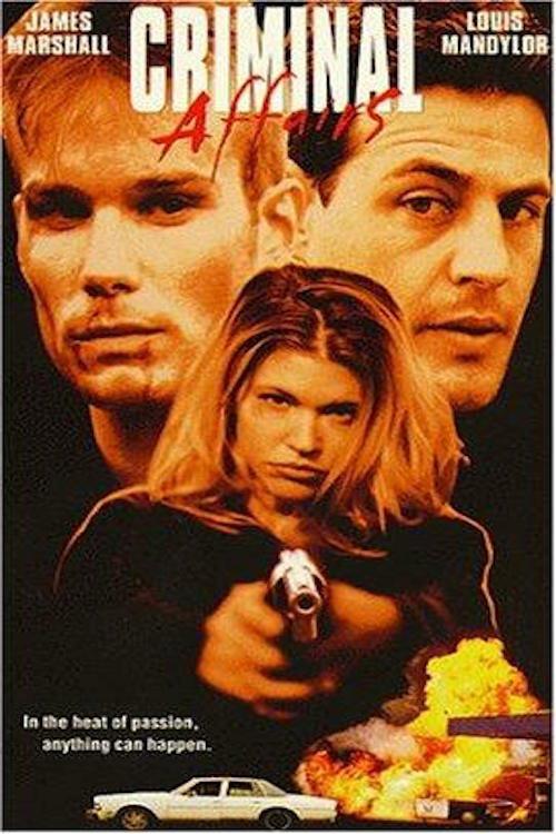 Criminal Affairs 1998 official movie poster