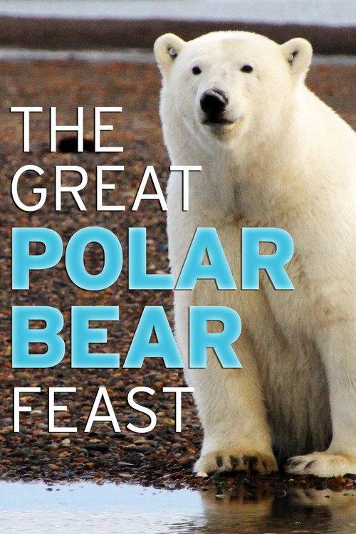 The Great Polar Bear Feast 2015 official movie poster