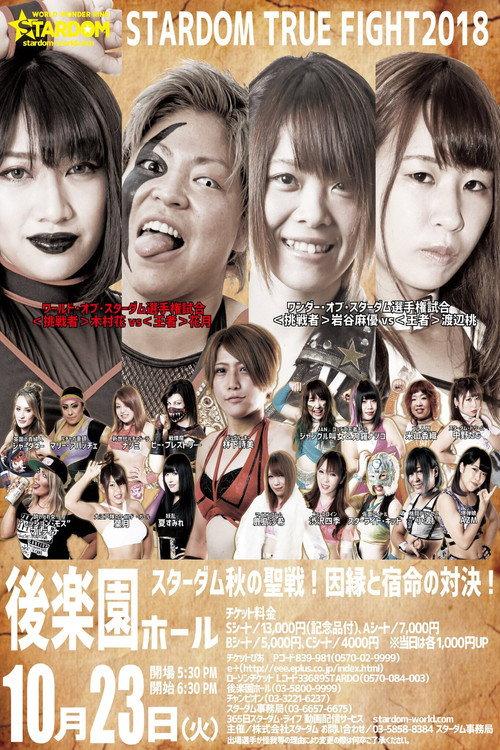 Stardom True Fight 2018 2018 official movie poster