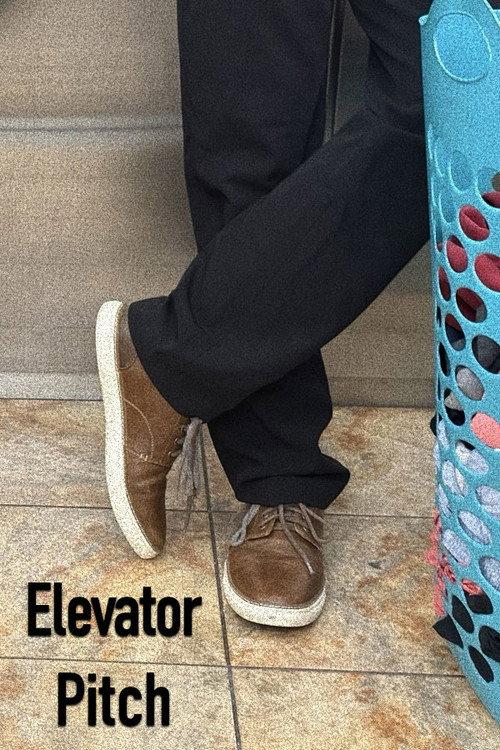 Elevator Pitch 2025 official movie poster