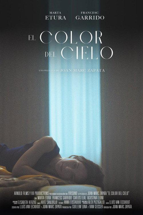 Color of Heaven 2022 official movie poster