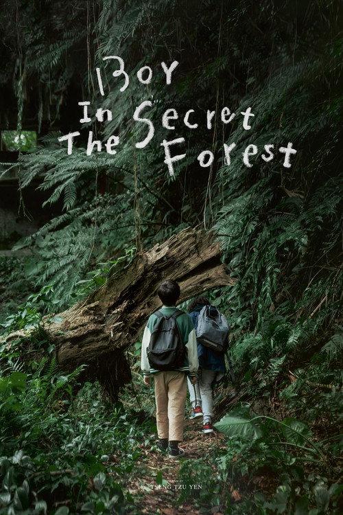 Boy in the Secret Forest 2024 official movie poster