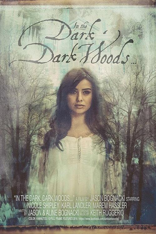 In the Dark, Dark Woods... 2017 official movie poster