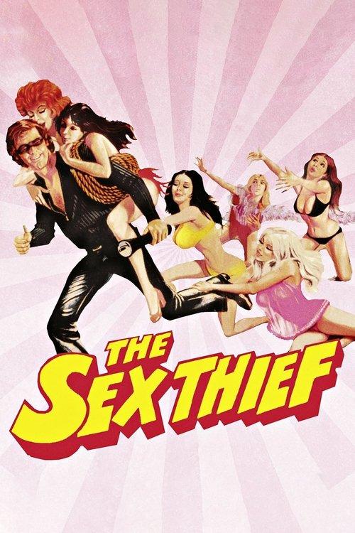 The Sex Thief 1973 official movie poster