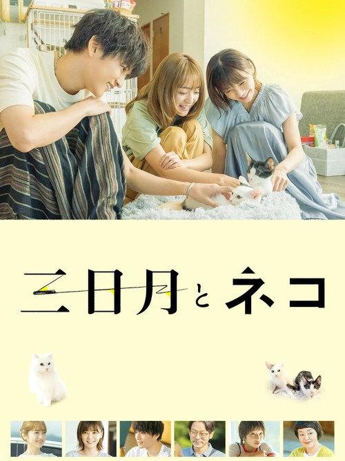 Crescent Moon and Cats 2024 official movie poster