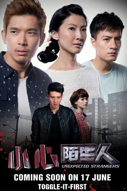 Unexpected Strangers 2014 official movie poster