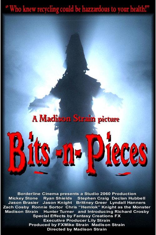 Bits-n-Pieces 2014 official movie poster