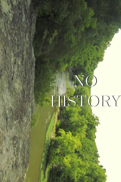 No History 2022 official movie poster