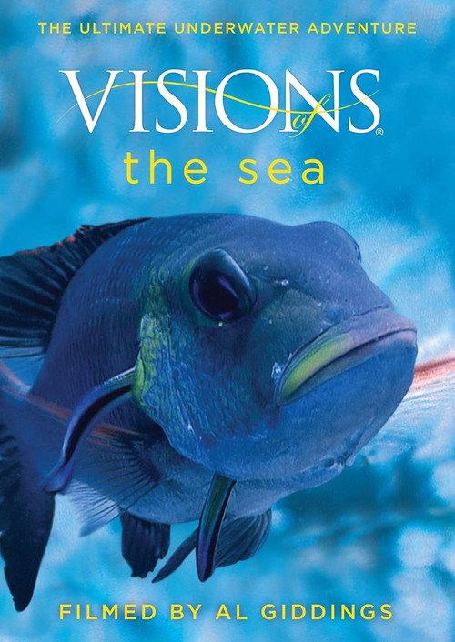 Visions of the Sea 2009 official movie poster