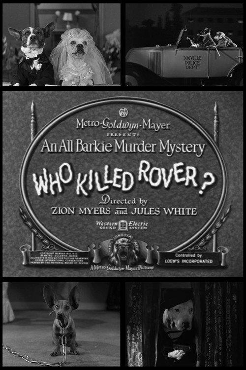Who Killed Rover? 1930 official movie poster