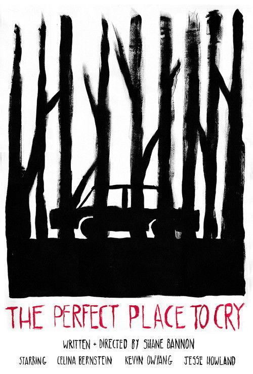 The Perfect Place to Cry 2023 official movie poster
