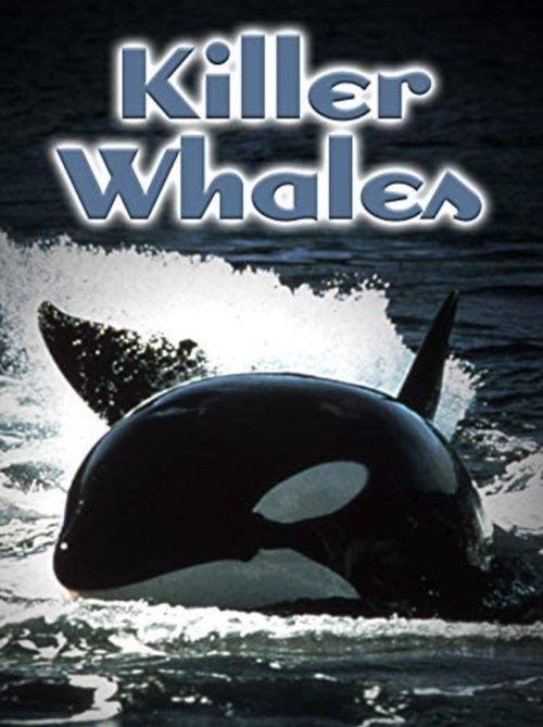 Killer Whales: Up Close and Personal 2000 official movie poster