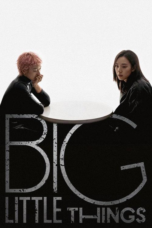 Big Little Things 2026 official movie poster