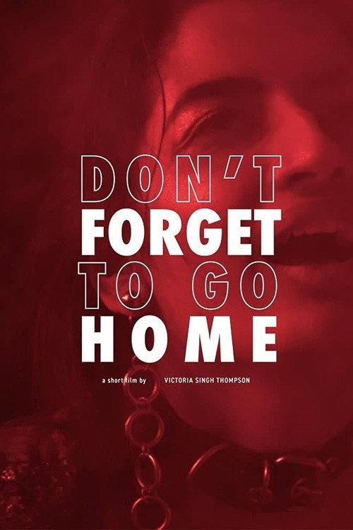 Don't Forget to Go Home 2020 official movie poster