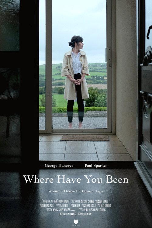 Where Have You Been 2021 official movie poster