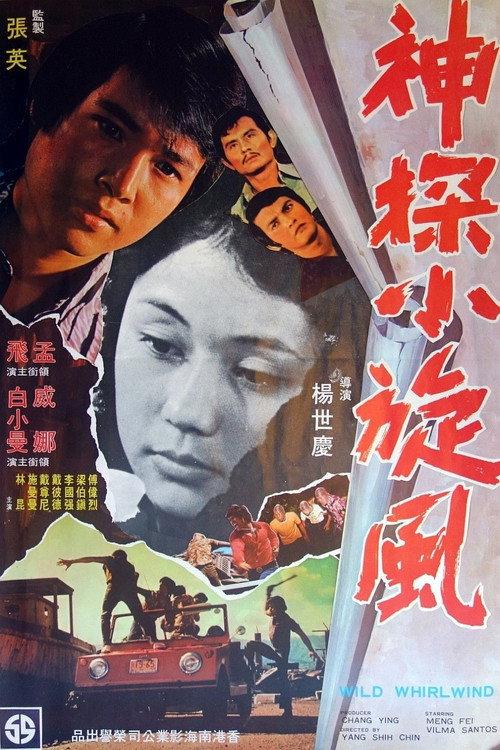 Wild Whirlwind 1974 official movie poster