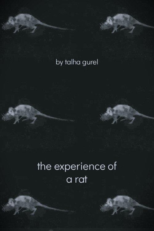 The Experience of a Rat 2025 official movie poster