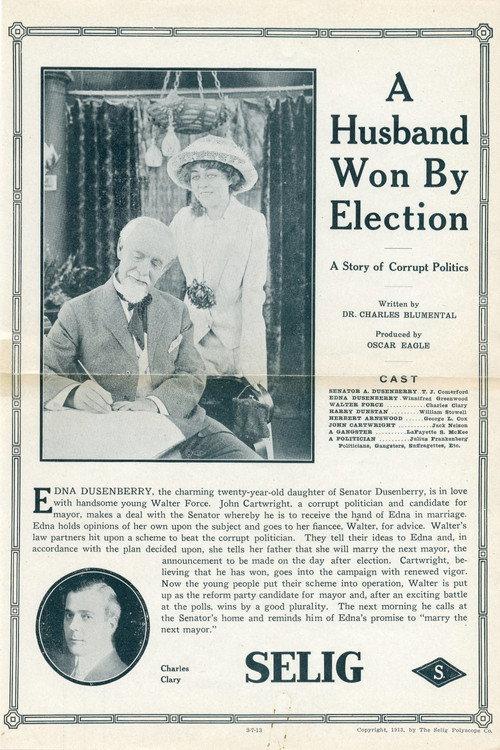 A Husband Won by Election 1913 official movie poster