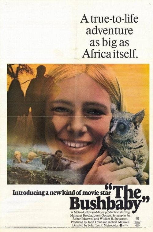 The Bushbaby 1969 official movie poster