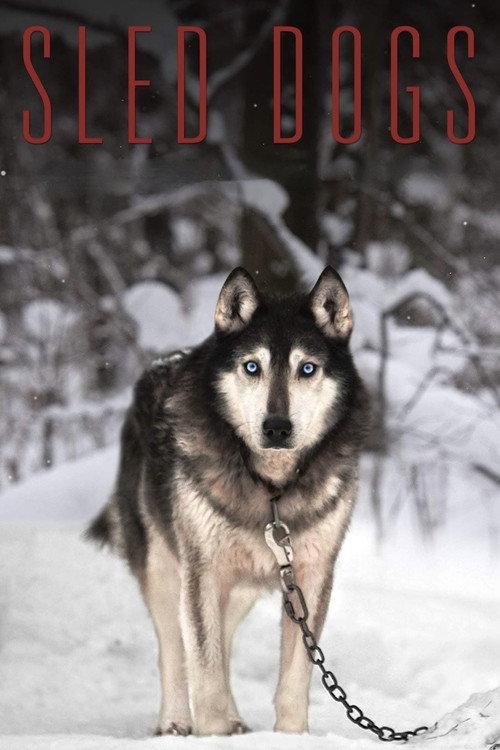 Sled Dogs 2017 official movie poster