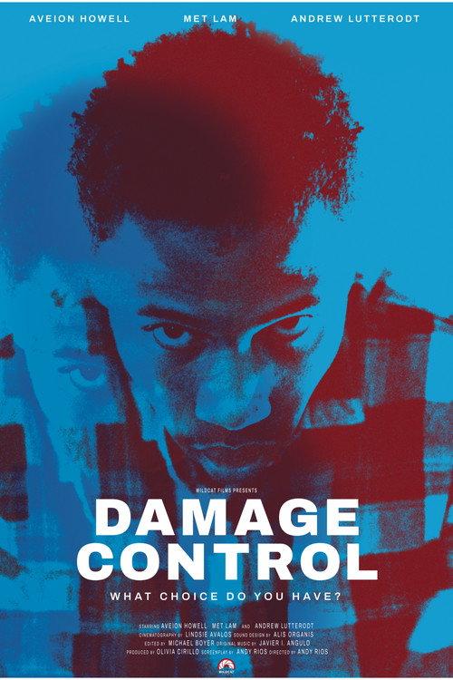 Damage Control 2024 official movie poster
