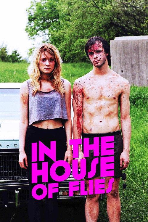 In The House of Flies 2014 official movie poster