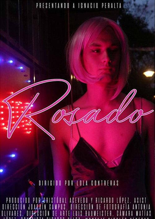 Pink 2017 official movie poster