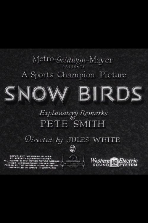 Snow Birds 1932 official movie poster