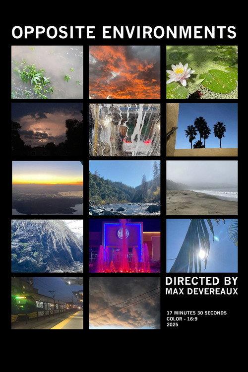 Opposite Environments 2025 official movie poster
