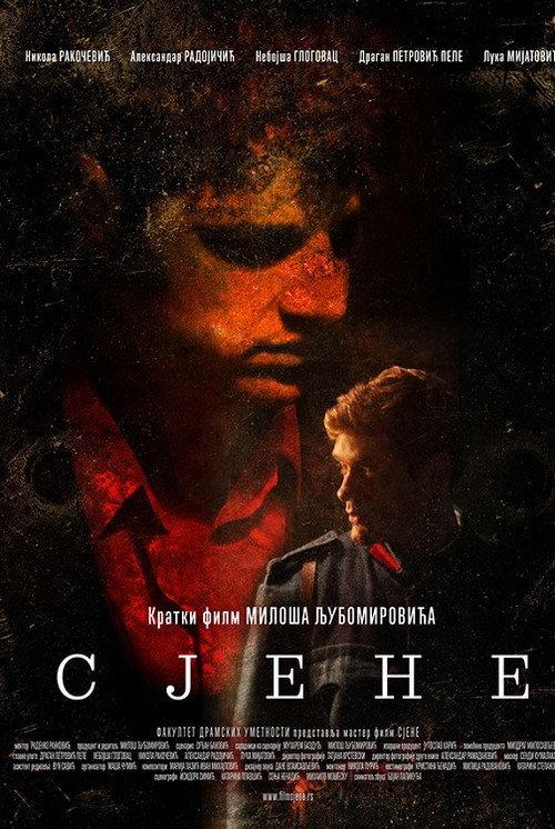 Shadows - The Last Days of Gavrilo Princip 2014 official movie poster