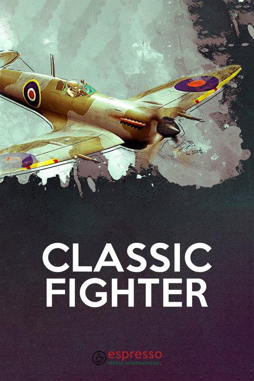 Classic Fighter official movie poster