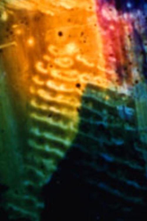 Patina 2001 official movie poster