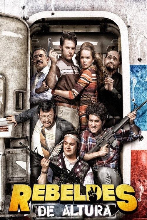 I'm Not A Rebel 2017 official movie poster