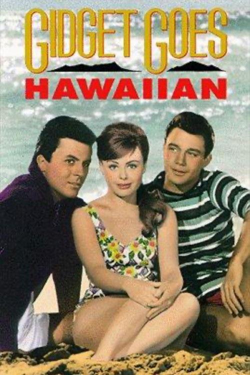 Gidget Goes Hawaiian 1961 official movie poster