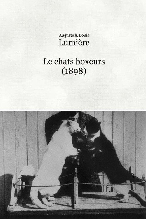 Les chats boxeurs 1898 official movie poster