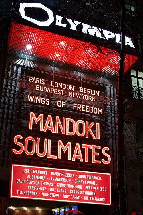 ManDoki Soulmates: Wings Of Freedom 2019 official movie poster