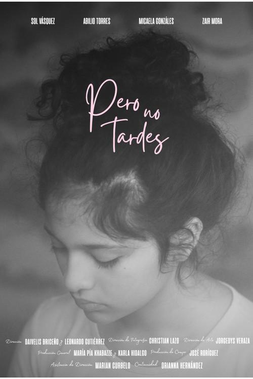 Pero no tardes 2026 official movie poster