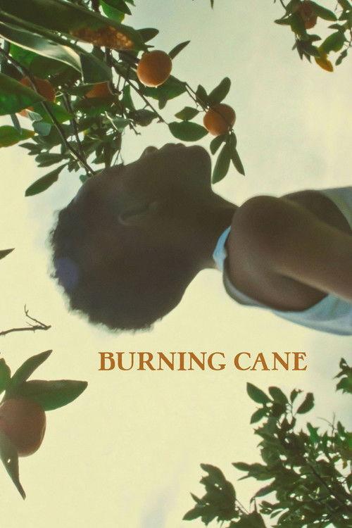 Burning Cane 2019 official movie poster
